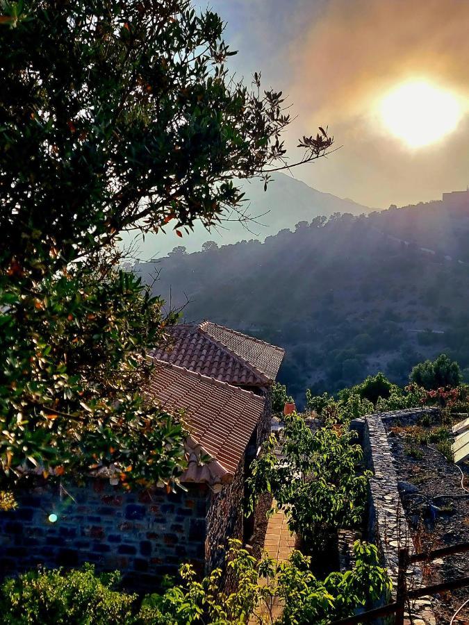 Palazzo Greco Villas Agia Galini Esterno foto